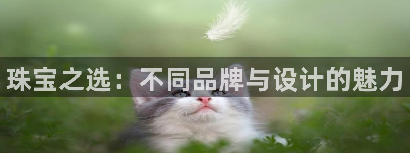 众腾娱乐代理怎么样:珠宝之选:不同品牌与设计的魅力