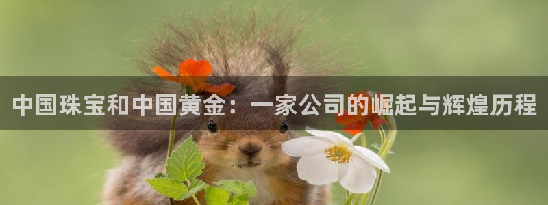 腾讯旗下的腾众娱乐:中国珠宝和中国黄金:一家公司的崛起与辉煌